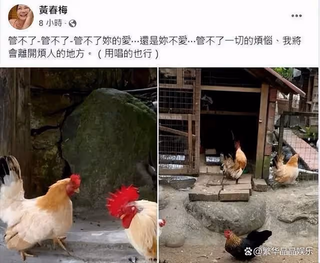 台媒表示大S將在台北領證結婚,S媽發文:我將會離開煩人的地方