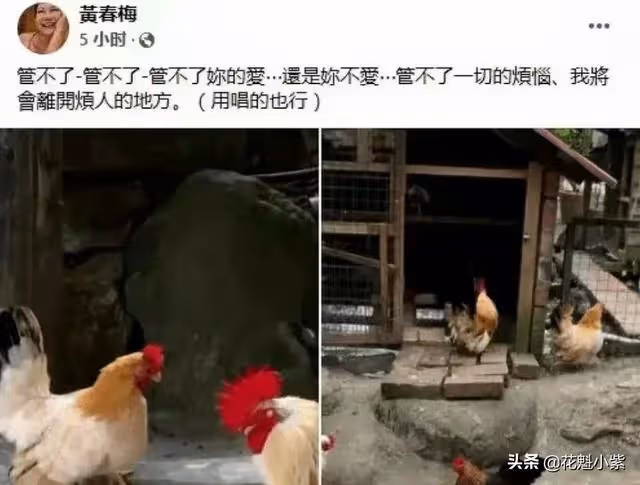 大s正式成為韓國媳婦,s媽刪除三年動態,網友:徹底放手不管了