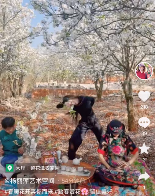 楊麗萍姐妹倆賞花品茶，為拍照扯樹枝搖花瓣雨，妹妹戴鴿子蛋搶鏡