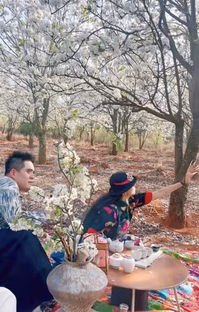 楊麗萍姐妹倆賞花品茶，為拍照扯樹枝搖花瓣雨，妹妹戴鴿子蛋搶鏡