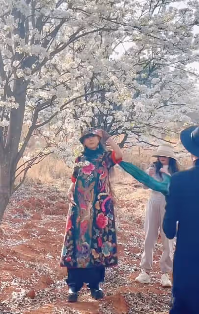 楊麗萍姐妹倆賞花品茶，為拍照扯樹枝搖花瓣雨，妹妹戴鴿子蛋搶鏡