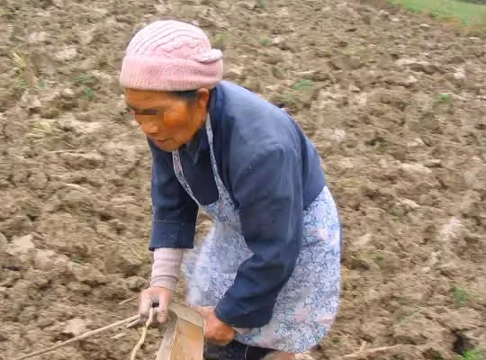 老母親分財產：錢給老大、房給老二、最孝順的老三卻只拿到一封信！看完信頓時跪地流淚