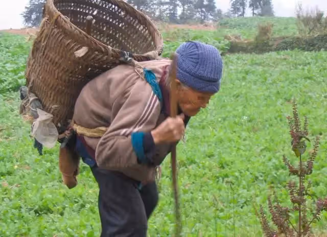 老母親分財產：錢給老大、房給老二、最孝順的老三卻只拿到一封信！看完信頓時跪地流淚