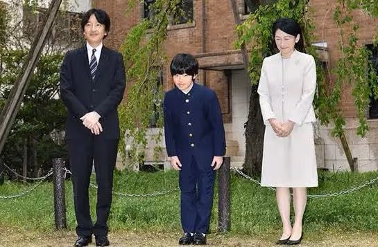 難回頭,真子的婚姻讓悠仁感到難堪,小室圭再無能她也只能忍耐