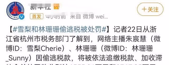 當雪梨和林姍姍因偷逃稅款被查，就說明網紅圈有許多人都應該被查
