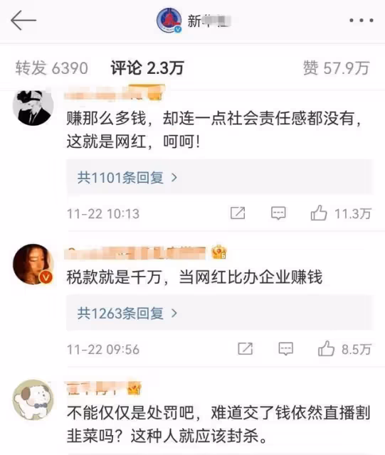 當雪梨和林姍姍因偷逃稅款被查，就說明網紅圈有許多人都應該被查