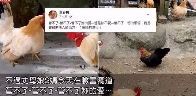不聽勸？大S發聲證實完成結婚「S媽氣到關閉賬號」　小S無奈回應：快吐血了