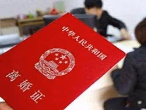 我離婚後把兒子拉扯大，如今兒子想讓我和前夫復婚，我掀翻桌子