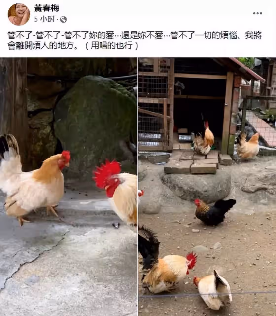 官宣！大S具俊曄在臺「已完成登記結婚」，屬於合法夫妻，S媽斷絕外界聯系惹人擔憂：管不了你的愛情