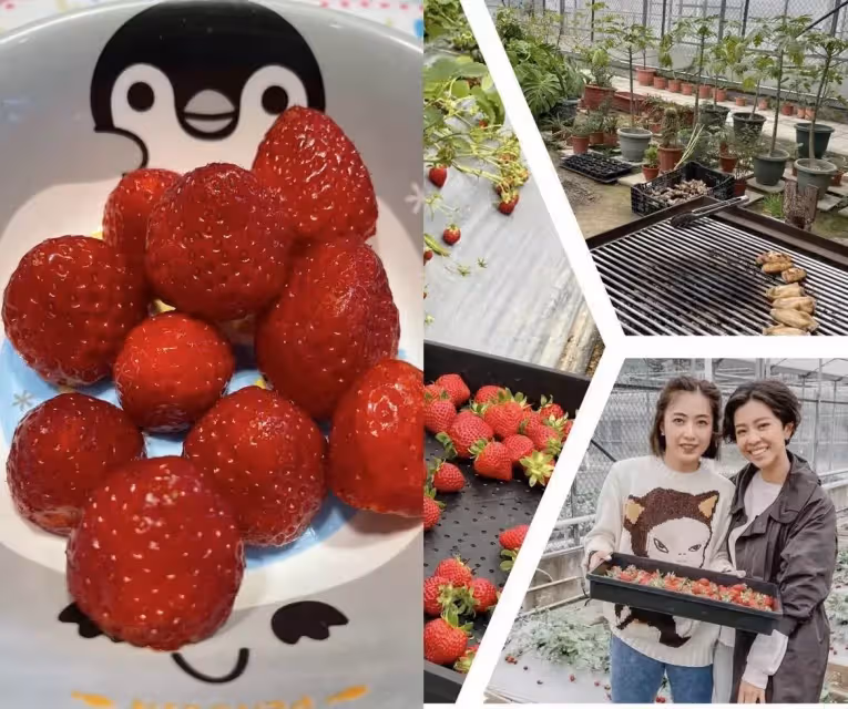 劉鑾雄小兒子罕露面，圓潤壯實與父極像，年僅9歲擁有上億股份，網友：贏在了起跑線上
