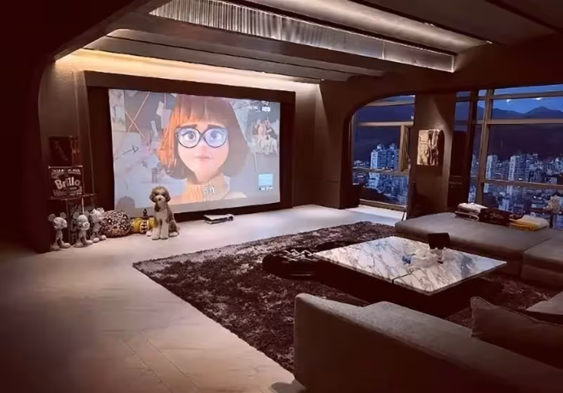 羅志祥曬絕密珍藏玩具:數百雙鞋價值幾百萬,一張地毯價值不菲