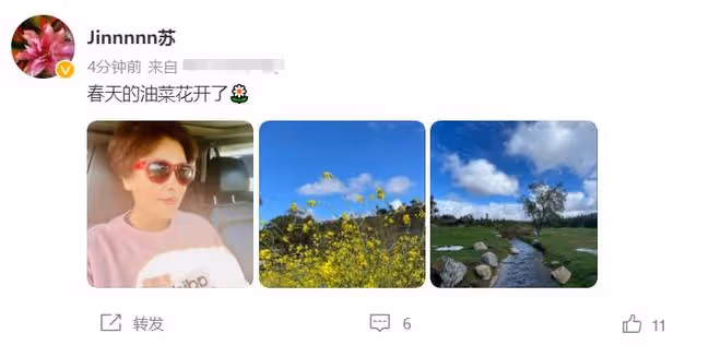 48歲蘇瑾近況,當紅時遠嫁國外卻離婚收場,單身多年已低調復出
