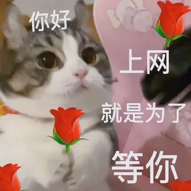 知名男團隊長求愛網紅主播,被拒後欲爆出其「19禁視頻」