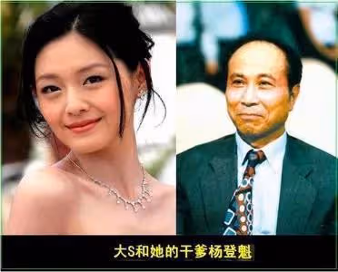 汪小菲大S婚變始末：偽豪門、拜金女，遮羞布一掀，分離是必然