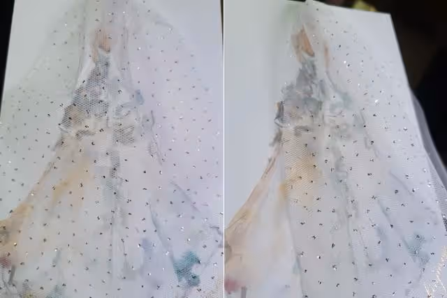 玄彬孫藝珍婚紗照曝光!夫妻倆雙手緊牽,孫藝珍笑靨如花美翻天
