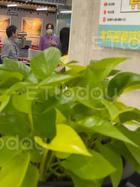 陳喬恩領證現場曝光!她滿臉春風笑,艾倫被長腿美女搭肩神情肅穆