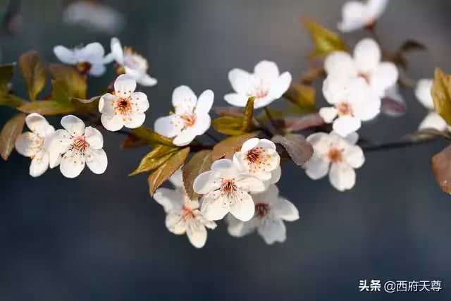 退休以後，不管有沒有錢，不要幫子女做這幾件事