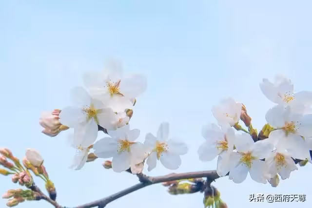 退休以後，不管有沒有錢，不要幫子女做這幾件事