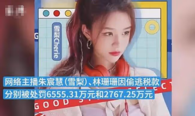 美女網紅「雪梨」、「林珊珊」因逃個稅被罰千萬~網友：這輩子賺得還不如人家交的稅多！
