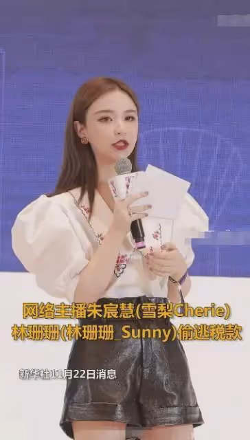 美女網紅「雪梨」、「林珊珊」因逃個稅被罰千萬~網友：這輩子賺得還不如人家交的稅多！