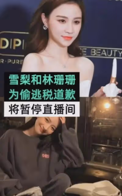 美女網紅「雪梨」、「林珊珊」因逃個稅被罰千萬~網友：這輩子賺得還不如人家交的稅多！