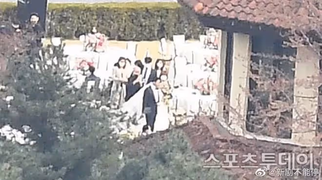 他們結婚啦!