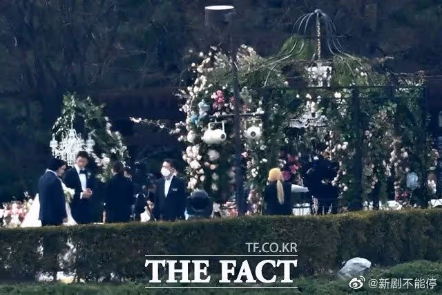 他們結婚啦!