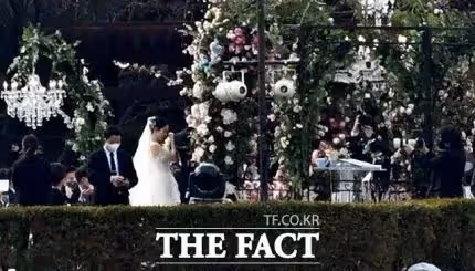 他們結婚啦!