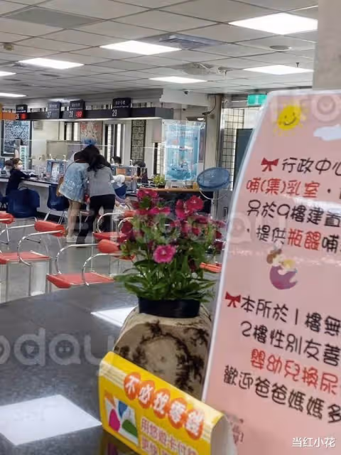 恭喜!合約情侶成婚,停工一年懷孕了!
