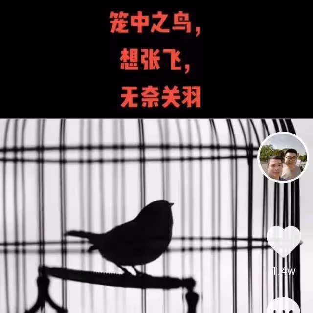 穩了 妥了 杜大娘的高光時刻來了