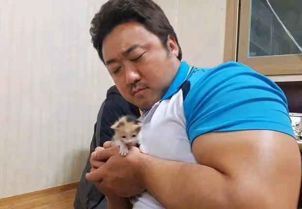真愛無關年齡！10對相差10歲以上的韓星情侶，IU、秀智都愛大叔！