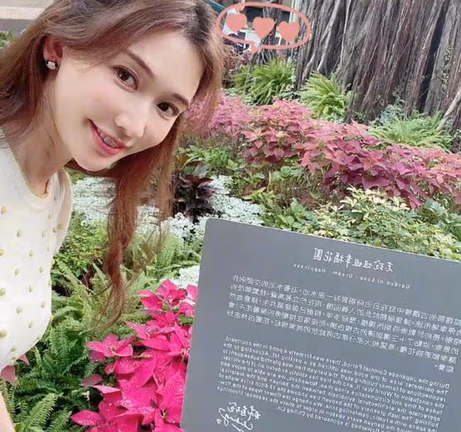 林志玲討回《極限挑戰》通告費，只去兩期節目賺400萬