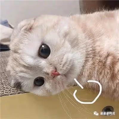 開始頂風作案了？