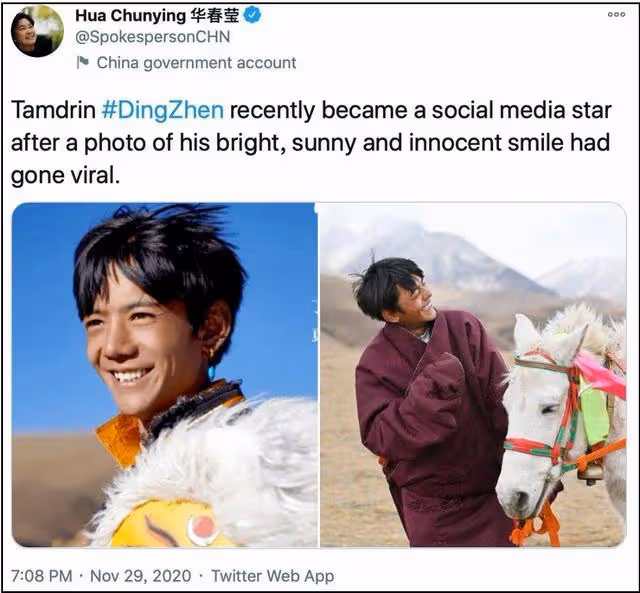 看到雪梨、林珊珊被封殺，我才明白丁真被保護得有多好