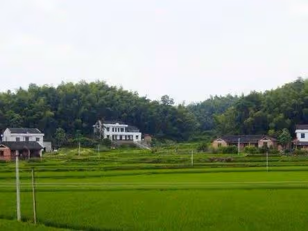 婆婆把拆遷款偷偷都給小姑子，住院卻讓我伺候，我話沒說完她走了