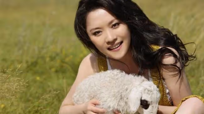 紫凝為工作不惜放棄婚姻,混到貸款買車,風光背後全是淚