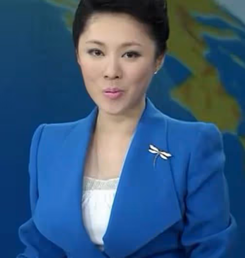 41歲仍未結婚,貸款買車,央視著名美女主播紫凝背後的辛酸歷程