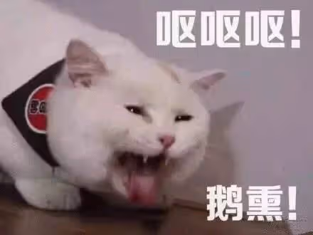 思聰前女友出事了！被罰6555萬