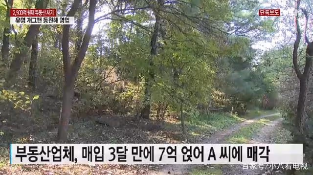 煮豆燃豆萁，同行騙同行，少女時代隊長泰妍懵了