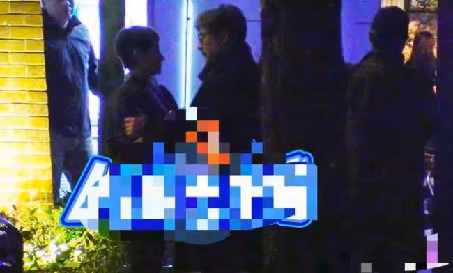 王岳倫深夜官宣離婚後秒刪 李湘曬綠葉疑似內涵