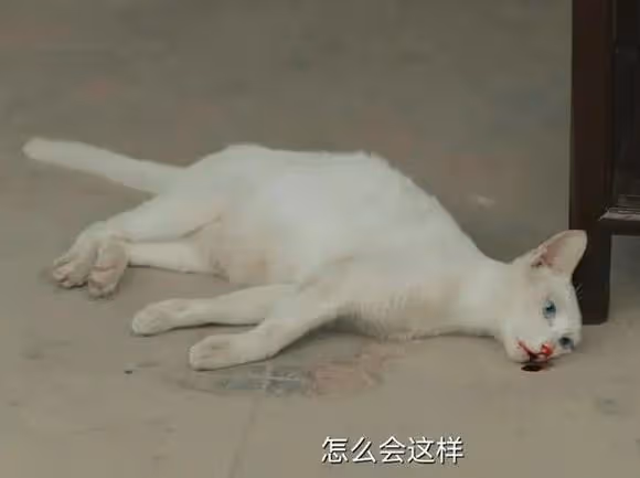 蔣勤勤和孫儷這是槓上了？兩人都上熱搜，誰更有大局觀一目了然！