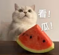 離婚女主持的瓜來了！