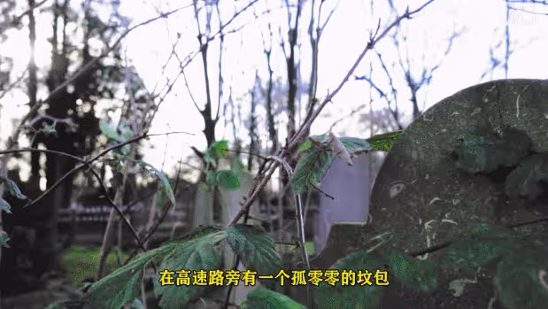 女主播去世40天後，骨灰以5萬塊賣出配陰婚