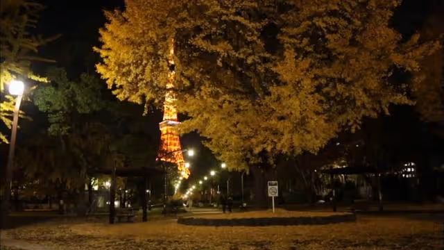 日本大姐渴望愛情，參加數百次相親節目，沒想到這次剛見面就接吻