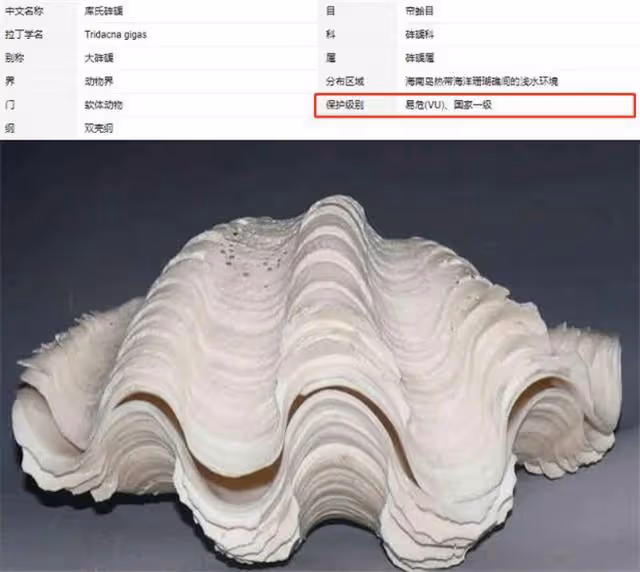 倒霉韓星出李烈音：出國吃海鮮吃出5年牢飯，事業剛起步備受打擊