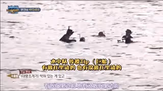 倒霉韓星出李烈音：出國吃海鮮吃出5年牢飯，事業剛起步備受打擊