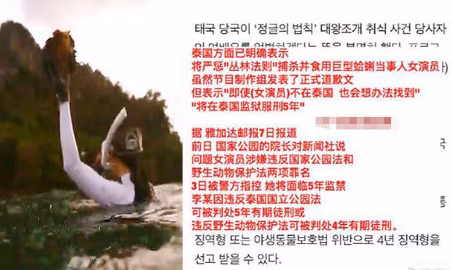 倒霉韓星出李烈音：出國吃海鮮吃出5年牢飯，事業剛起步備受打擊