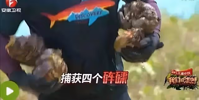 倒霉韓星出李烈音：出國吃海鮮吃出5年牢飯，事業剛起步備受打擊