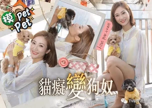 愛犬有異性無人性！蔡嘉欣樂做執「金」阿四