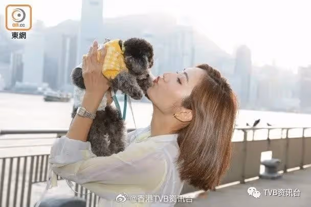愛犬有異性無人性！蔡嘉欣樂做執「金」阿四